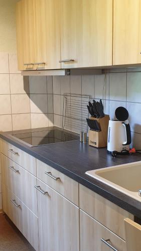 Ferienwohnung an der Begerburg, Drážďany (fotografie 8)