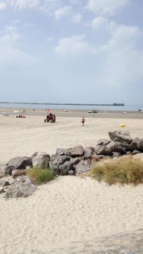 Les Pieds dans l'Eau, frond de mer