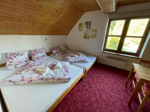 Chata Boubín Room Type - Family Studio