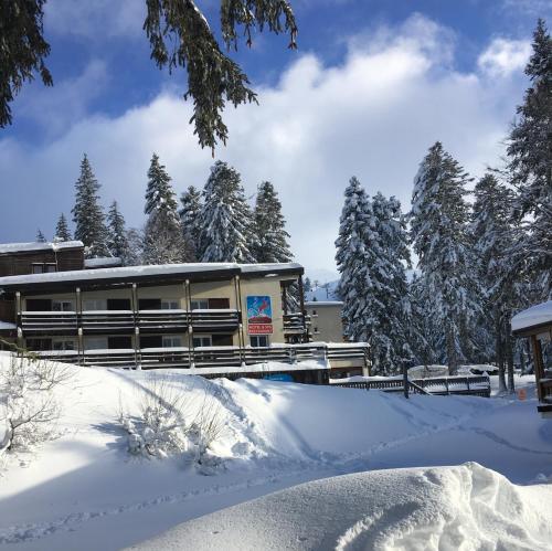 Le Rocher Du Cerf - Hotel - Le Lioran