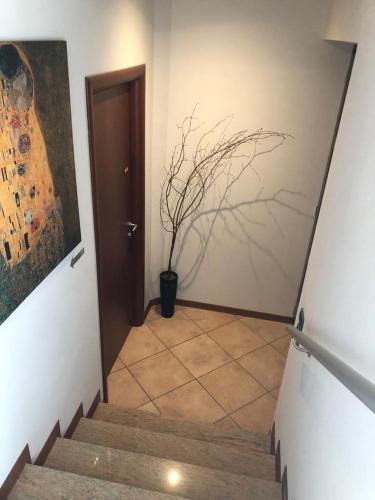 La Cinciallegra in Magliano Alfieri