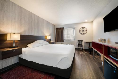Red Lion Inn & Suites Ontario Room Type - King Room