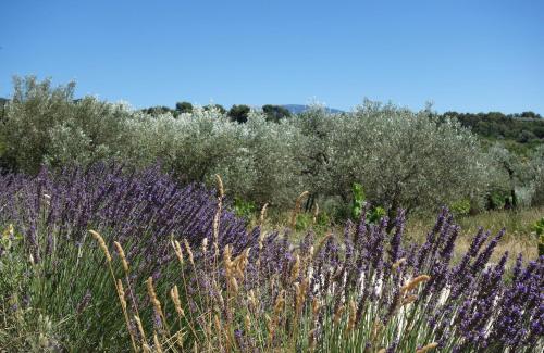 EtoileduVentoux - Nyons Vaison la Romaine - 2pers - Piégon