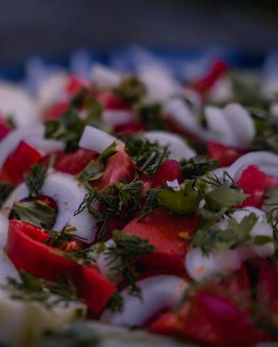 Guesthouse Ailama Guesthouse Ailama