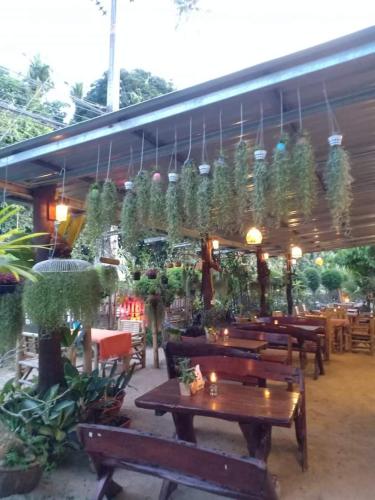 Apache Bar Haad yao photo