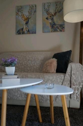 Havenly Loft