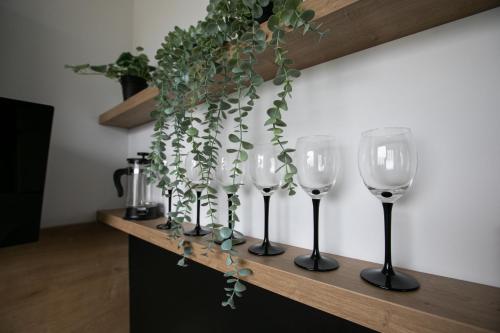 Rent40 AVEC Gdańsk Brzeźno ul. Chodkiewicza - image 3