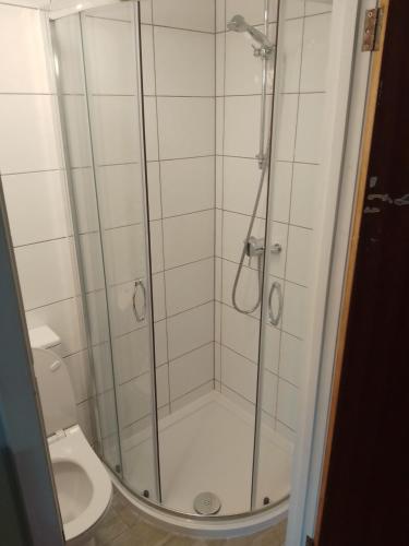 Dolphins Backpackers