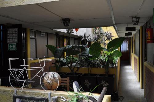 Hotel Tolotzin in Toluca de Lerdo
