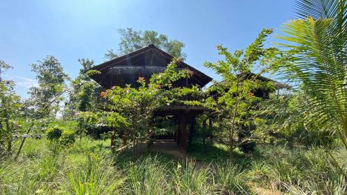 Chena Huts Eco Resort