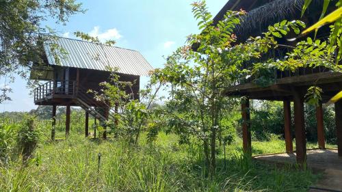 Chena Huts Eco Resort