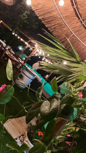 Apartment with 3 bedrooms in Pozzallo with wonderful sea view shared pool enclosed garden 500 m from the beach - image 4