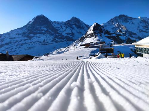 運動及活動, Chalet Pfyffer - Mountain view in 格林德瓦郊區