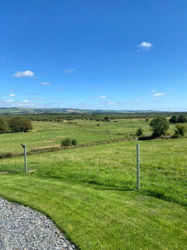 Craigend Farm Holiday Pods - The Curly Coo