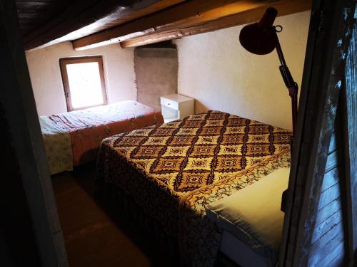 Pinnettu sardo cerca su Google casa di campagna in ecosistema insetti e animaletti simpatici in condivisione, stanza matrimoniale senza finestra, Leggere attentamente Prima di prenotare