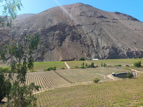 Ladera Loft Pisco Elqui