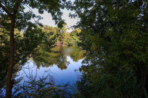 Le Saint Martin #Centre ville #Charente #6pers