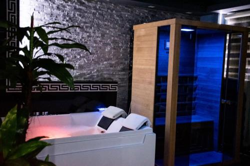 Spa Apartment - image 12