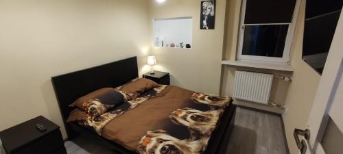 Apartament CENTRUM in Sosnowiec