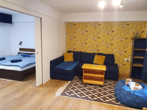 M & M apartment Krvavec, Cerklje na Gorenjskem (foto 5)