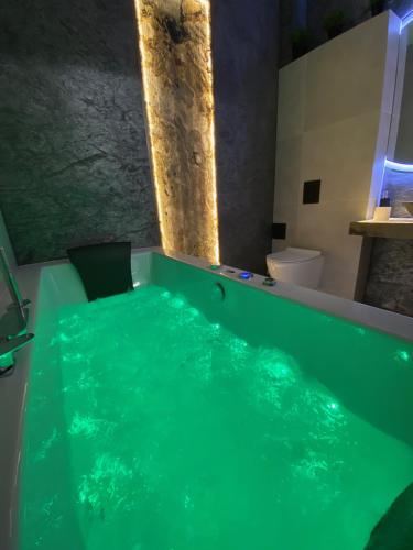 Silver Shine jacuzzi Room Type - One-Bedroom Apartment