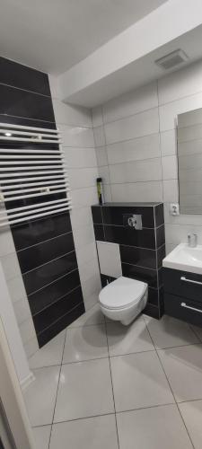 Apartament CENTRUM in Sosnowiec