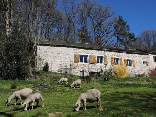 Gîte LA FENIAL - Montredon-Labessonnié