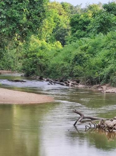 CTZ PAROH RIVER PARK