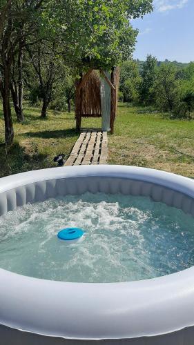 周邊環境, Poiana Stelelor in 芬特奈里