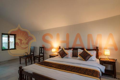 Shama desert camp - image 2