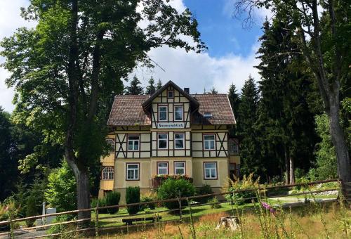 Haus Sonnenblick - Apartment - Benneckenstein