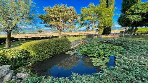  Amazing contemporary Villa with pool - Italian style Spelloissima - Sleeps 11, Unterkunft in Limiti