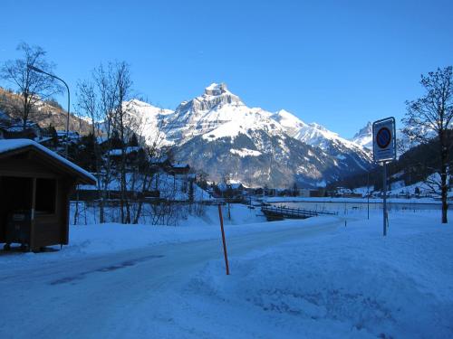  2.5-Zimmer-Wohnung Balkon freie See- und Bergsicht, Garage PPe in Engelberg