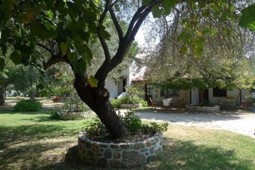 Traditionelles Appartement ATHOS SHADOW am Meer