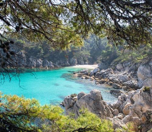 Traditionelles Appartement ATHOS SHADOW am Meer