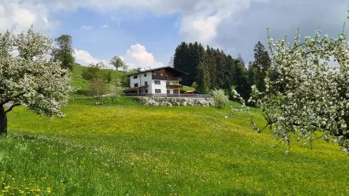 Appartement Schwindelfrei in Niederndorferberg, Österreich