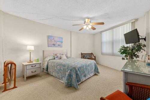 Cozy Ocean Condo with Pool Small Dog Friendly Cozy Ocean Condo with Pool Small Dog Friendly