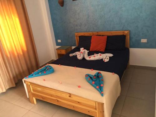 Dahab Beach Lodge – Dahab, KY