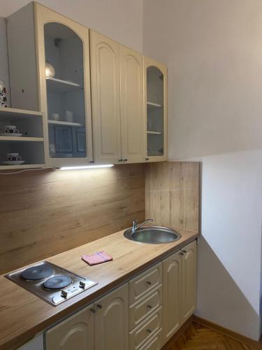 Apartmán Kaiser - image 3