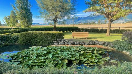  Spello By The Pool - Sleeps 11 with large private pool, meditation park - exc, Unterkunft in Limiti