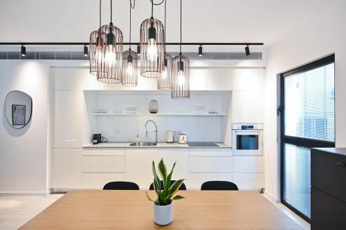 One-Bedroom Apartment image 10