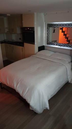 Beautiful holiday studio in the heart of Rochester 4