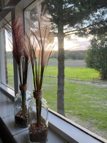 Surrounding environment, B&B Zwiep in Lochem