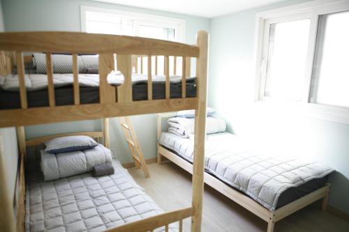 Twin Rabbit Guesthouse, Soul (fotografie 9)