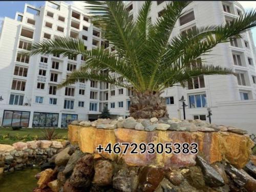 an apartment 2+1for rent
