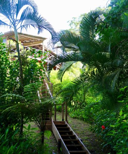 Eden Jungle Lodge Panama