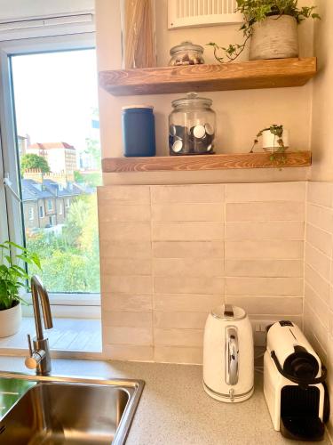 Newly refurbished 2 BR Apartment in South London - image 14