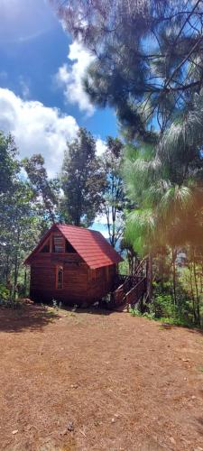 Cabaña en el Bosque de San José del Pacífico 4