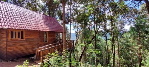 Cabaña en el Bosque de San José del Pacífico 4