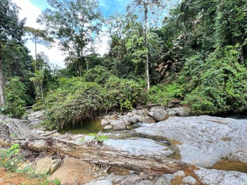 BUKIT LIMAU REST HOUSE BUKIT LIMAU REST HOUSE